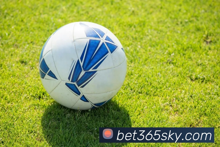 Bet365体育APP 封面图